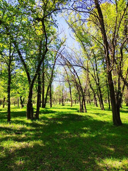 Ала-Арчинское водохранилище