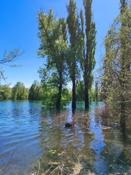 Ала-Арчинское водохранилище