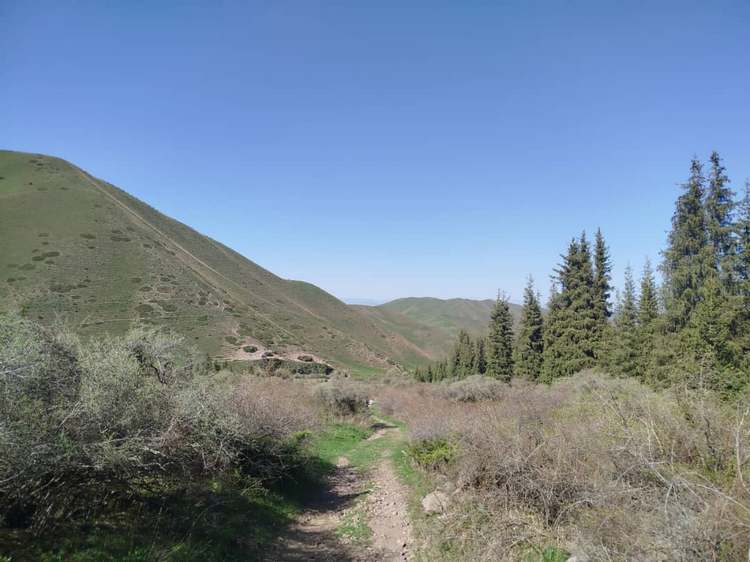 Ущелье Шамси, 4 мая