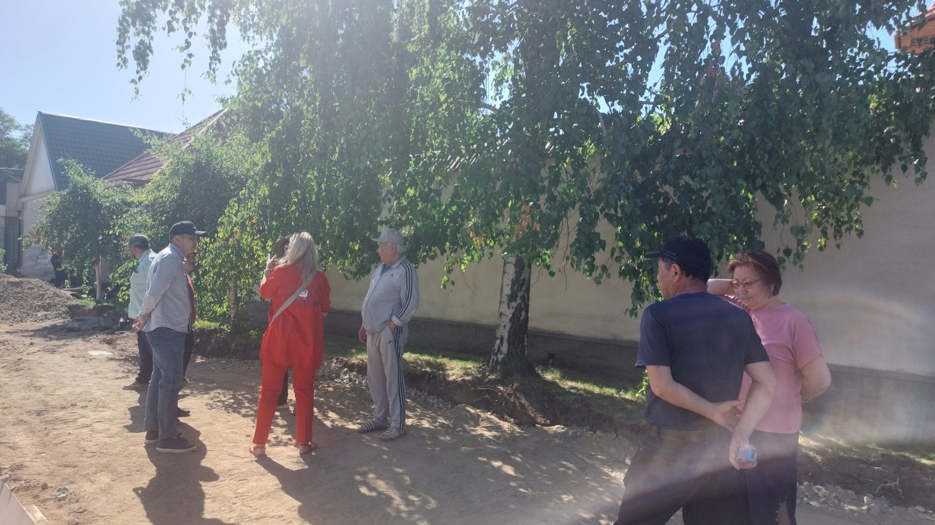 В Бишкеке экоактивисты выступили против вырубки деревьев при строительстве тротуара