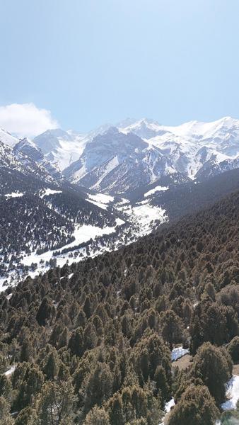 Кара-Кой, 19 марта