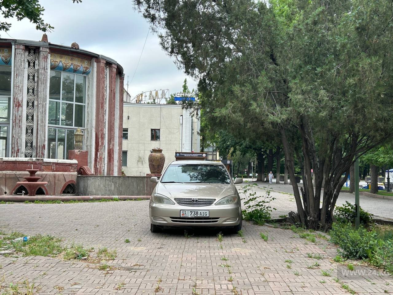 Чудаки парковки