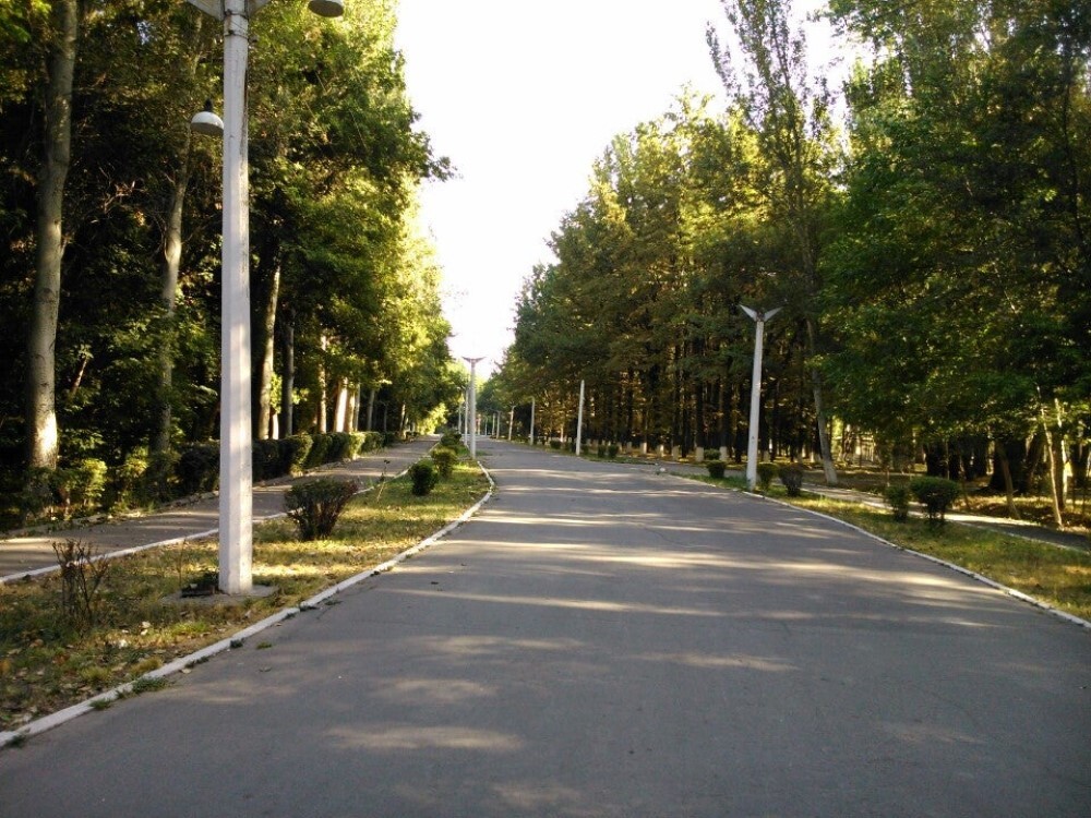 Карагачевая роща