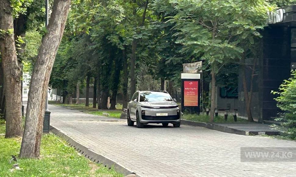 Чудаки парковки