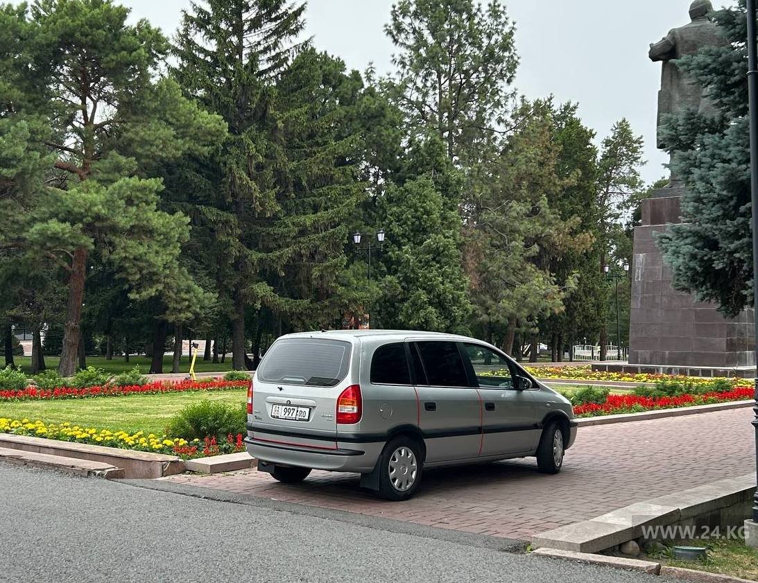 Чудаки парковки