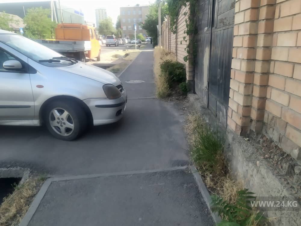 Чудаки парковки