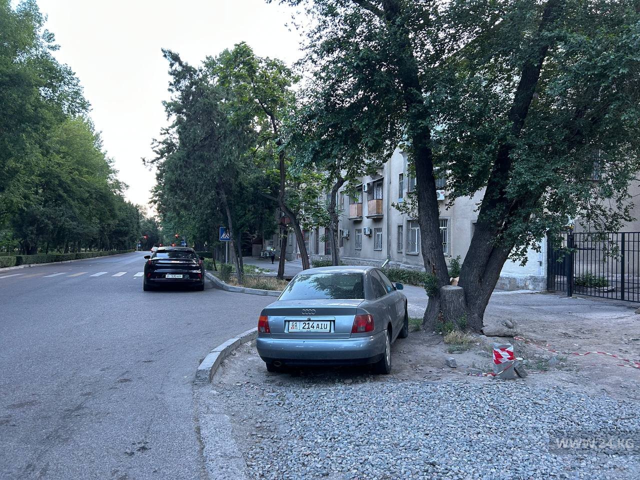 Чудаки парковки