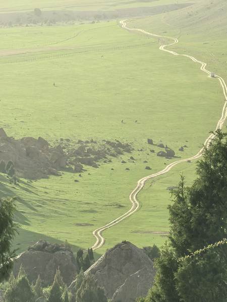 Алай