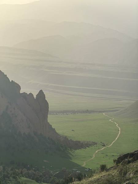 Алай