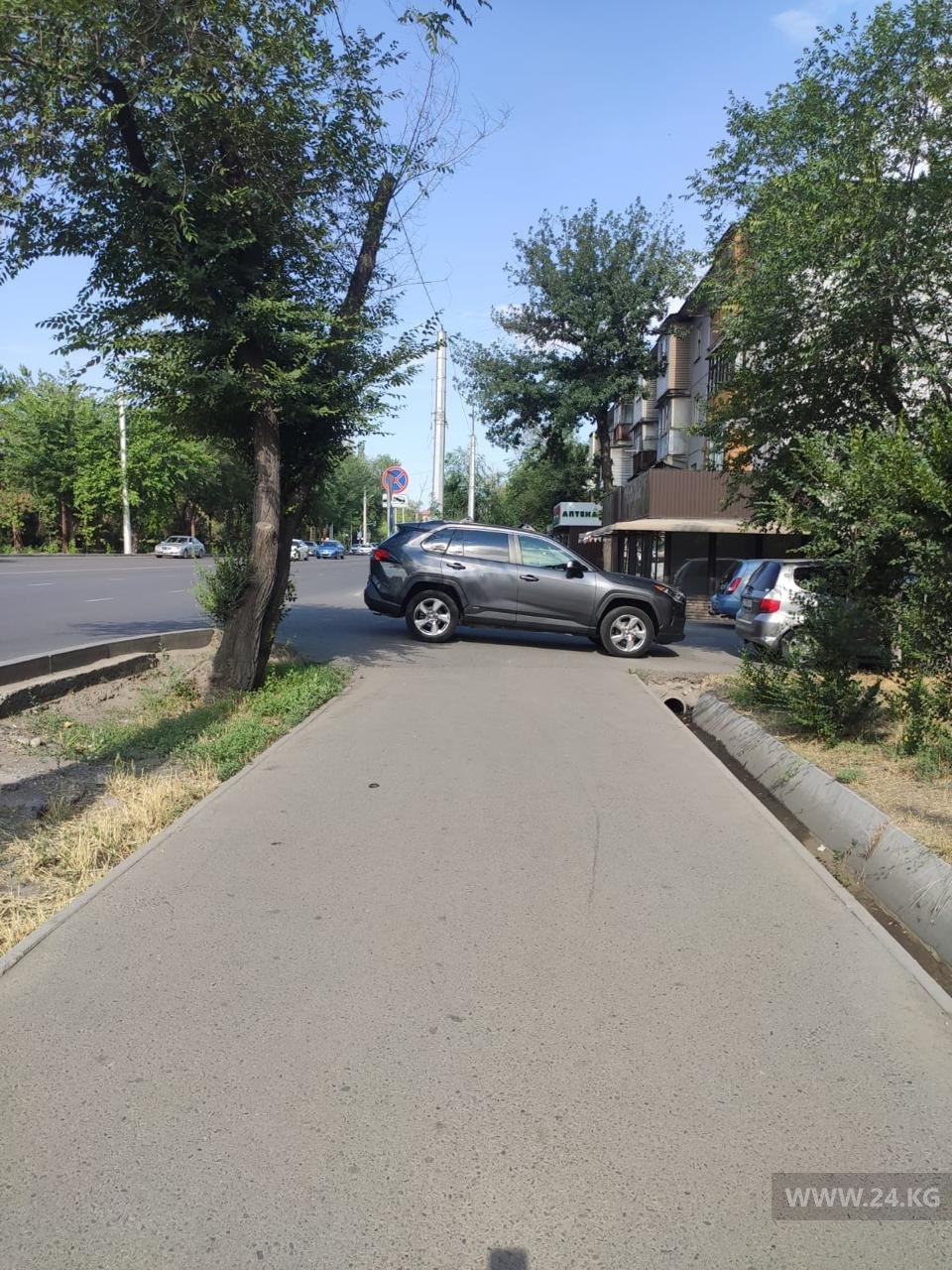Чудаки парковки