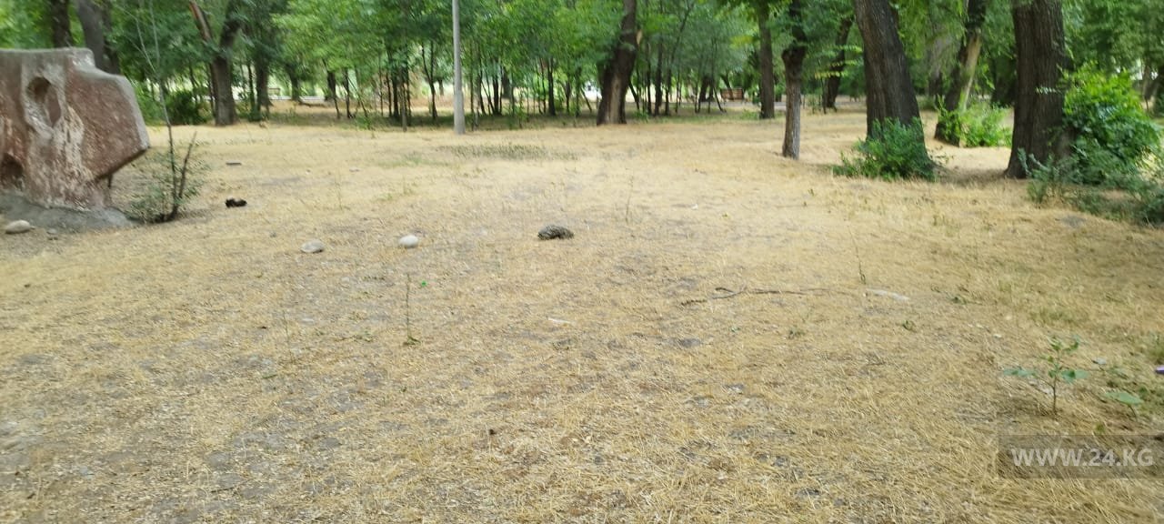 Парк «Молодежный» в Бишкеке