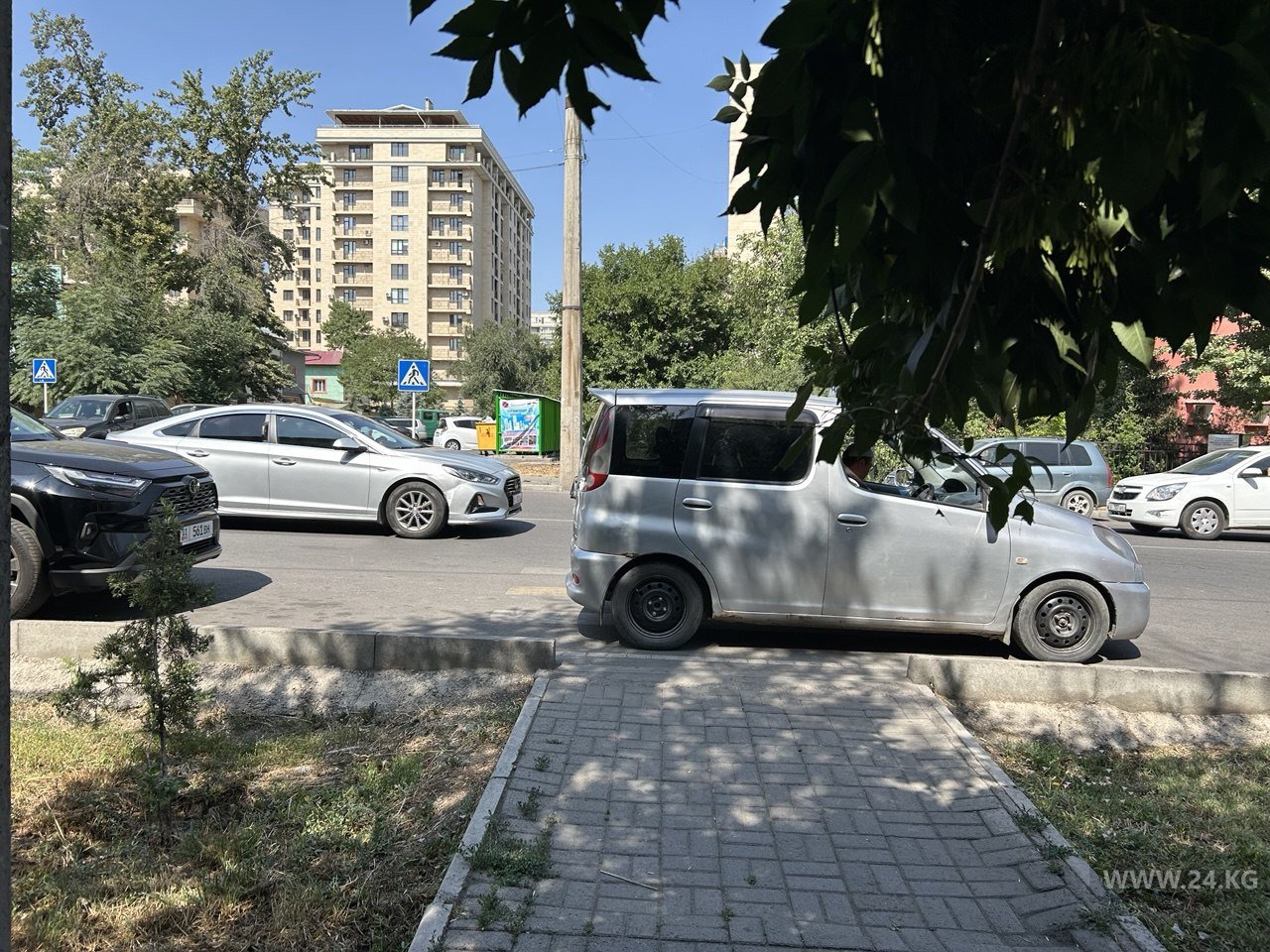 Чудаки парковки