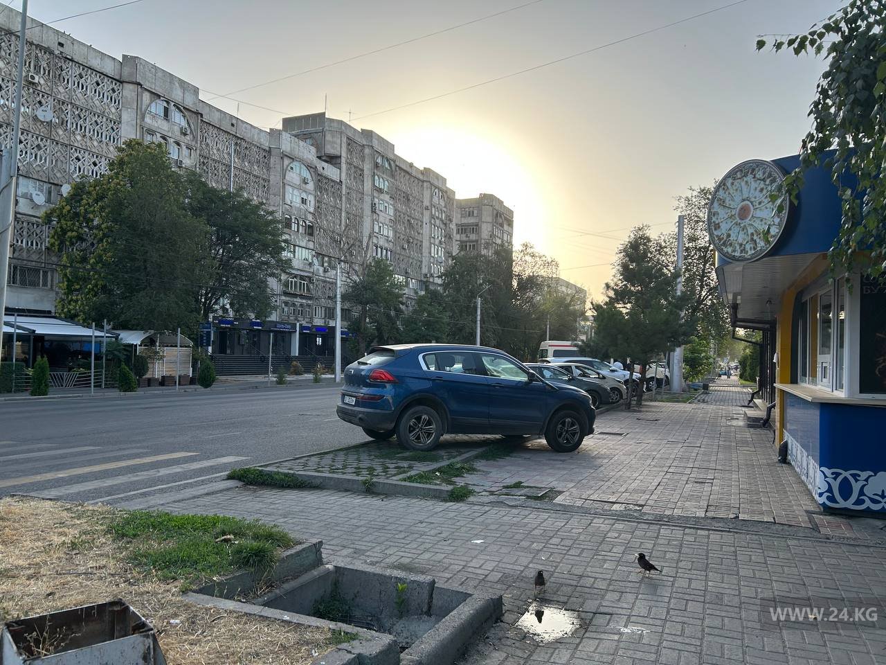 Чудаки парковки