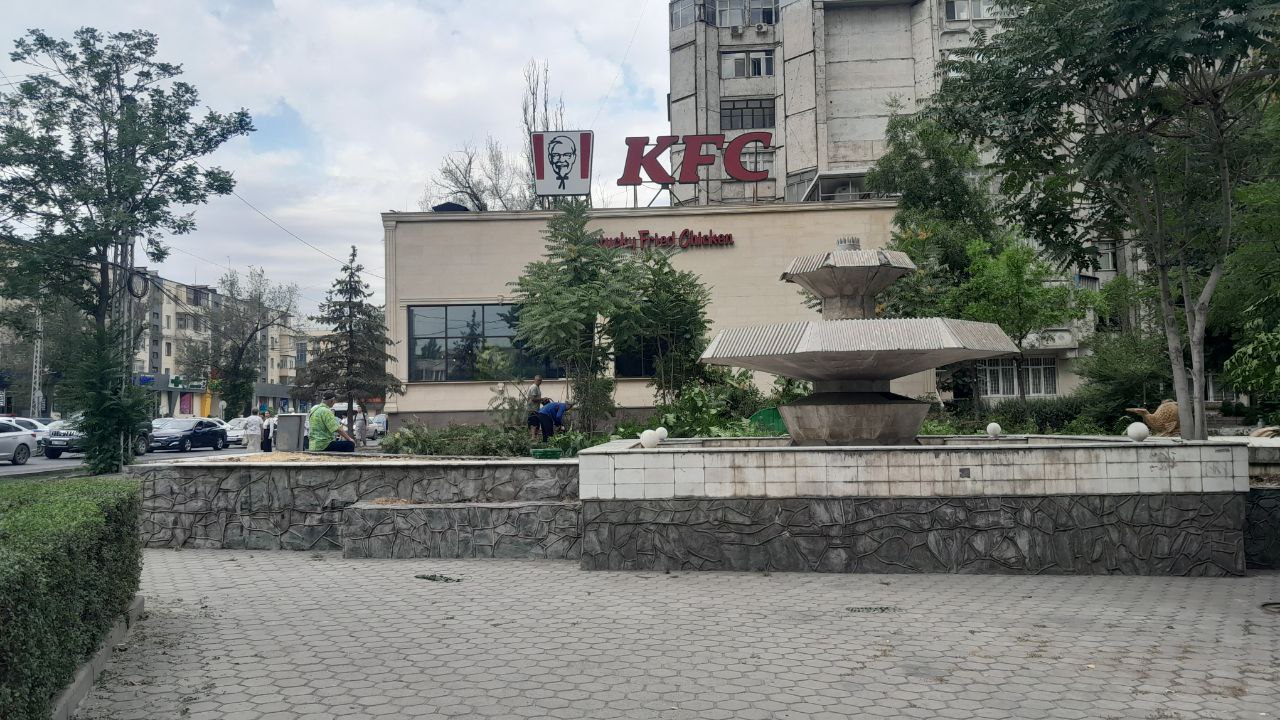 Вырубка деревьев в сквере