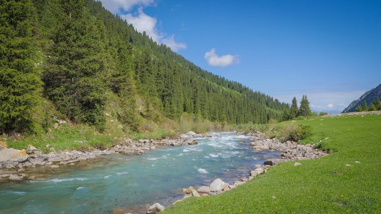 Река Турген