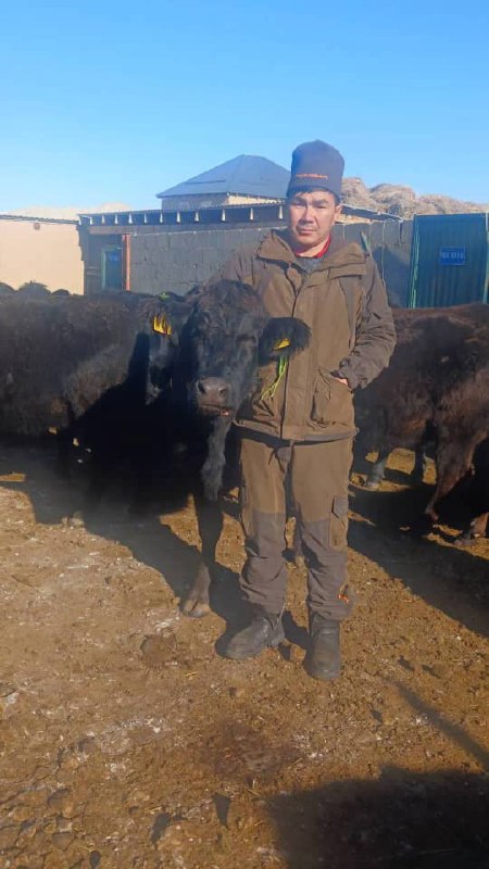 Хамзат Таалайбек уулу