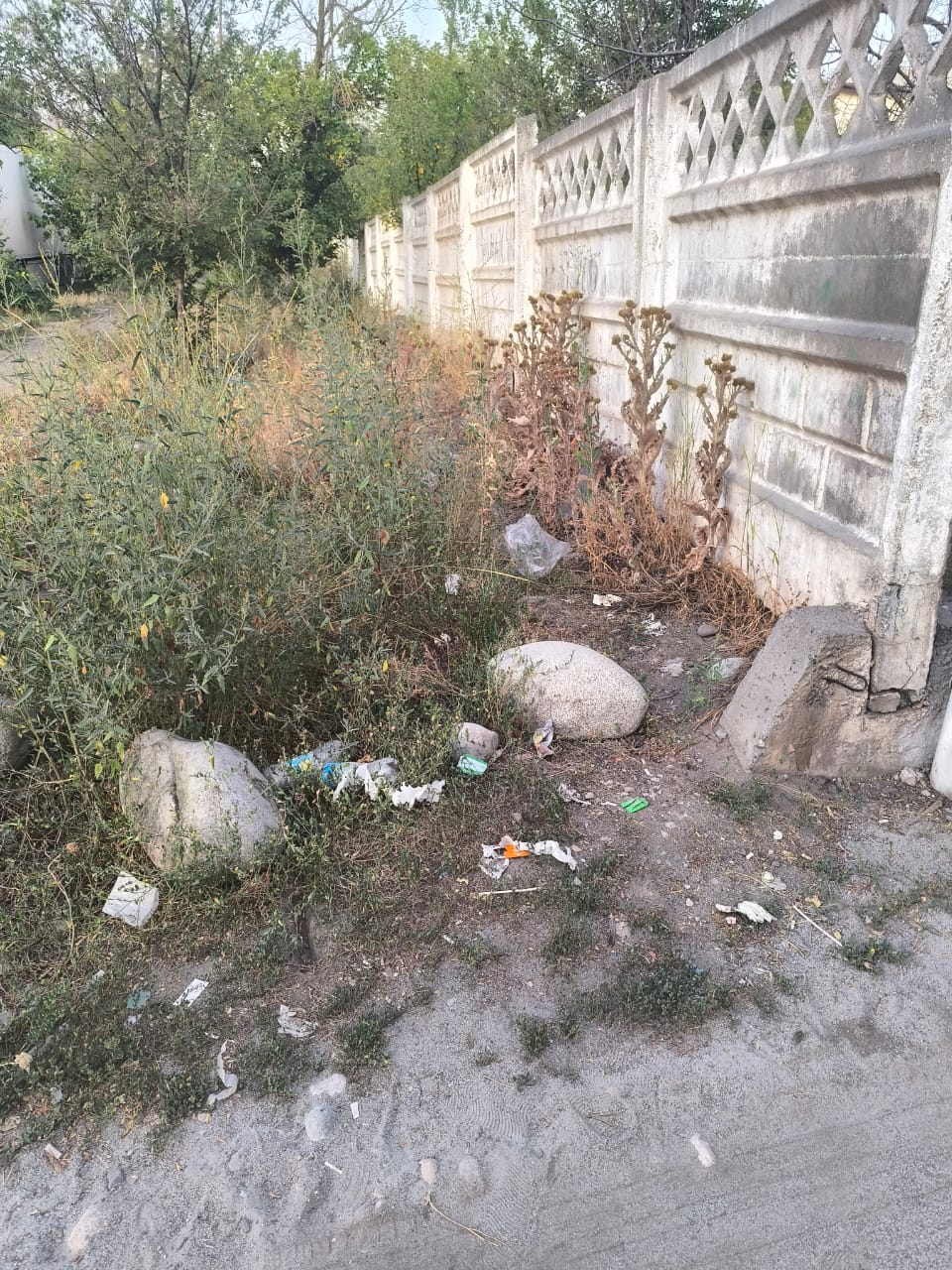 Жители села Таш-Добо жалуются на мусор, пыль и воду