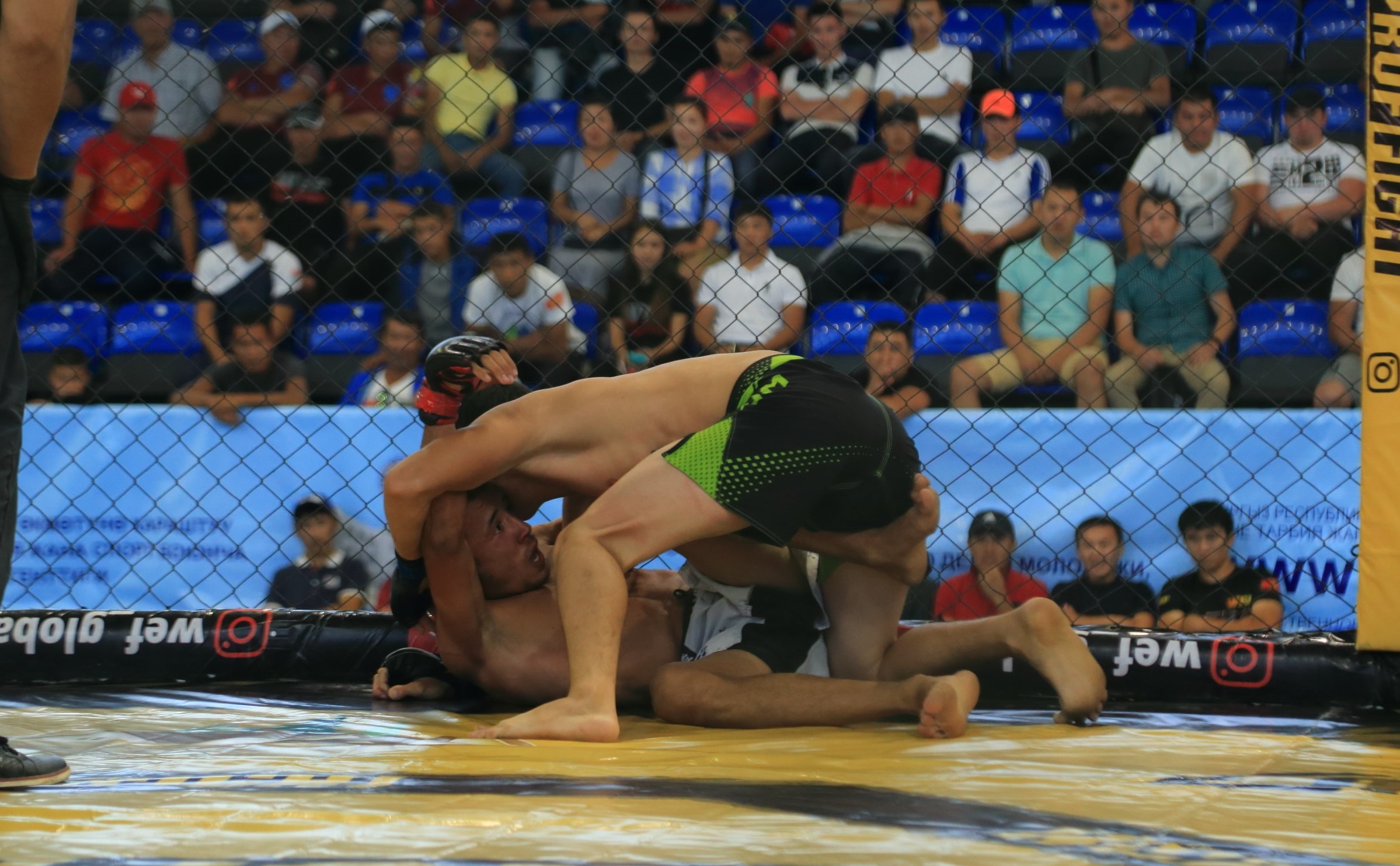 Бой в рамках турнира WEF 36 Proffight 14 по кулатуу эртаймаш