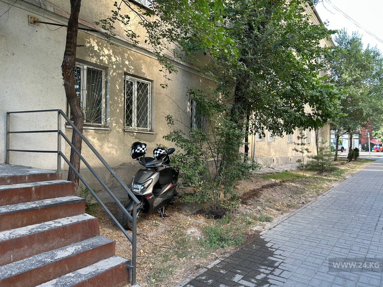 Чудаки парковки
