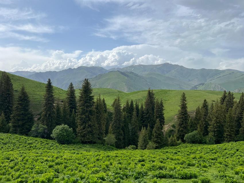 Джайлоо Каркыра