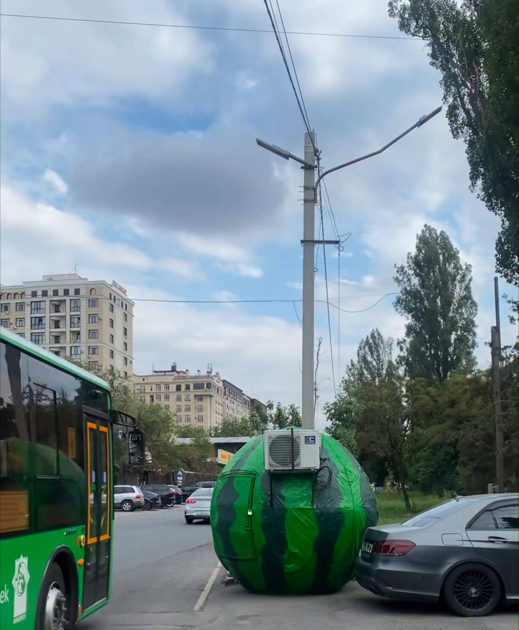 В столице Кыргызстана появились необычные торговые павильоны