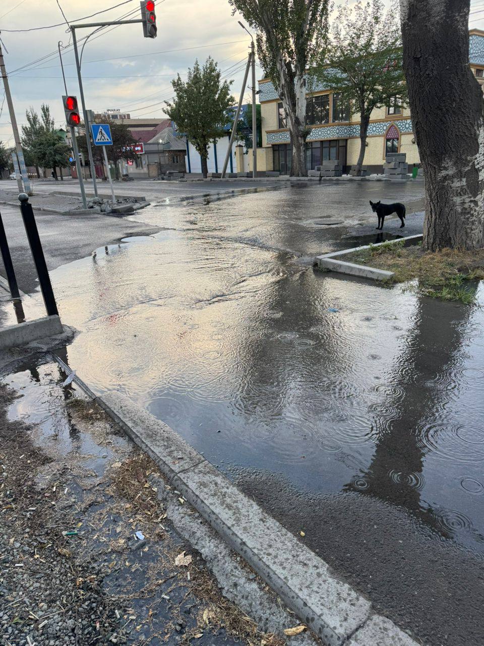 В Бишкеке топит перекресток улиц Ахунбаева и Шукурова: жители жалуются
