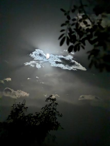 Лунная ночь