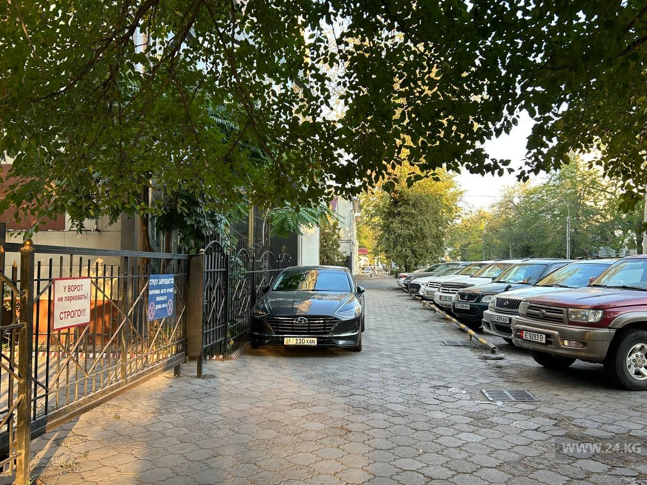 Чудаки парковки