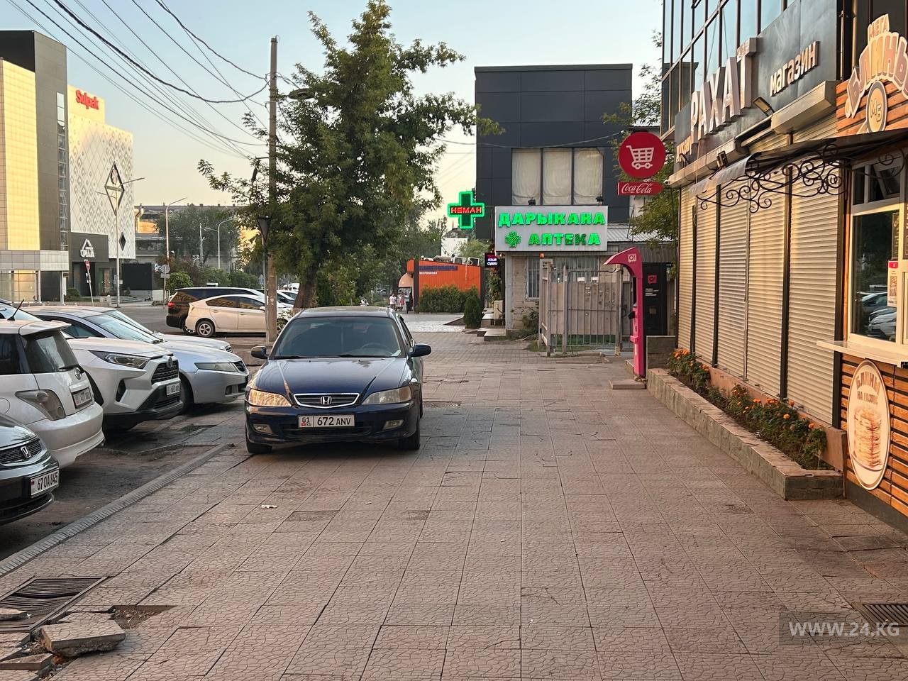 Чудаки парковки