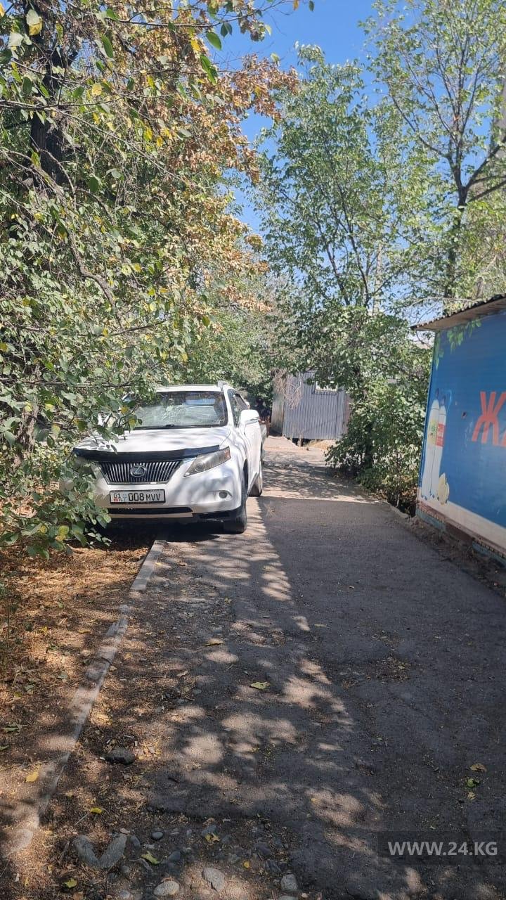 Чудаки парковки
