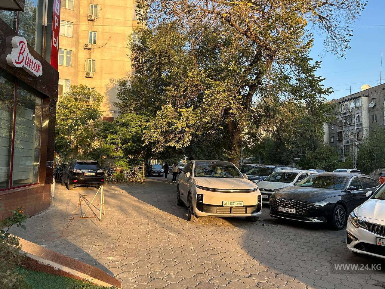 Чудаки парковки