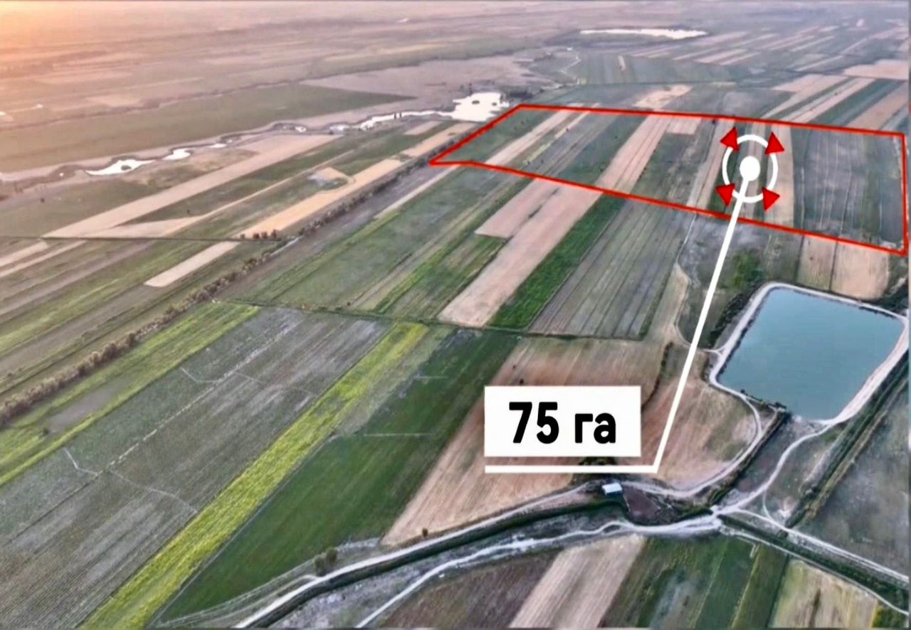 Более тысячи гектаров земли возвращены государству в Жайылском районе