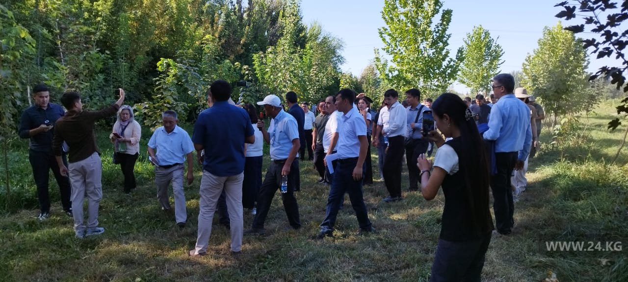 Экскурсия по питомнику МП «Бишкекзеленстрой»