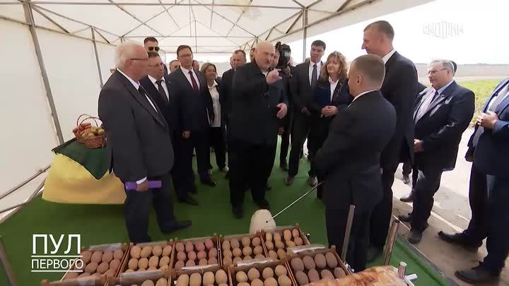 Александр Лукашенко везет президентам стран ШОС в подарок белорусскую картошку