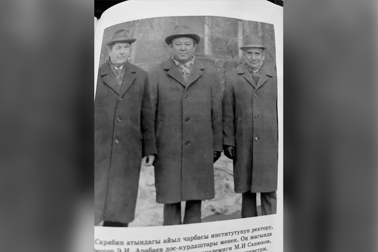 Трудовая деятельность Эркина Арабаева