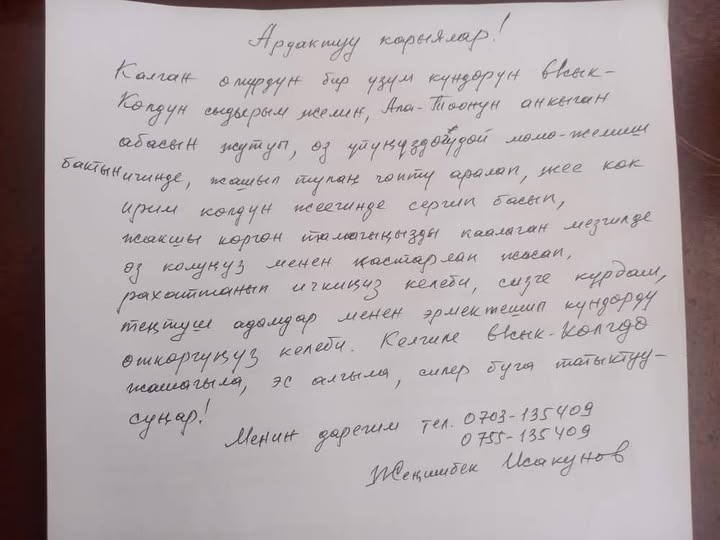 «Старость не должна быть одинокой»: инициатива кыргызстанца нашла отклик