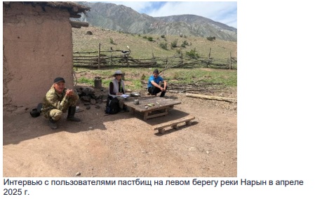 Полевые исследования