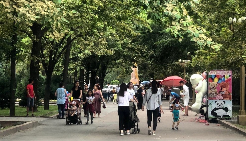 Жители Бишкека назвали главные проблемы города: парки, транспорт и экология
