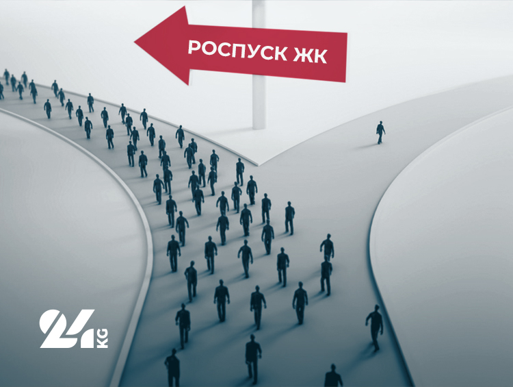 В законе не прописаны нормы работы Жогорку Кенеша в случае его самороспуска