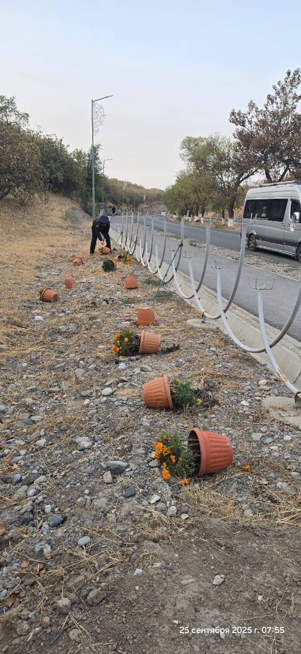 В Джалал-Абаде задержали мужчину, повредившего цветочные клумбы