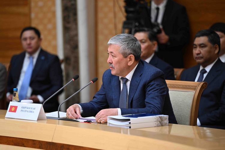 Адылбек Касымалиев на заседании Евразийского межправительственного совета