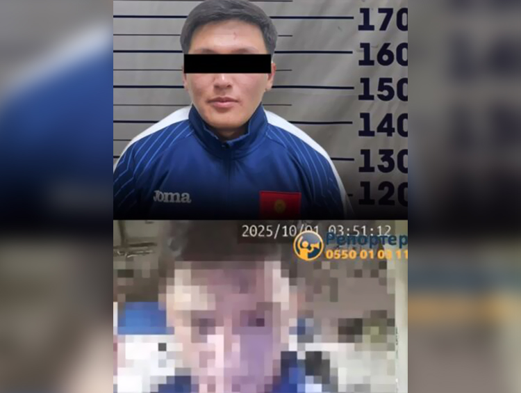 Подозреваемый