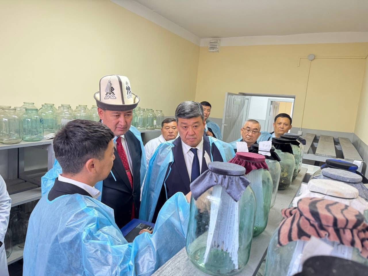 В Ошской области модернизируют токсикологическую лабораторию