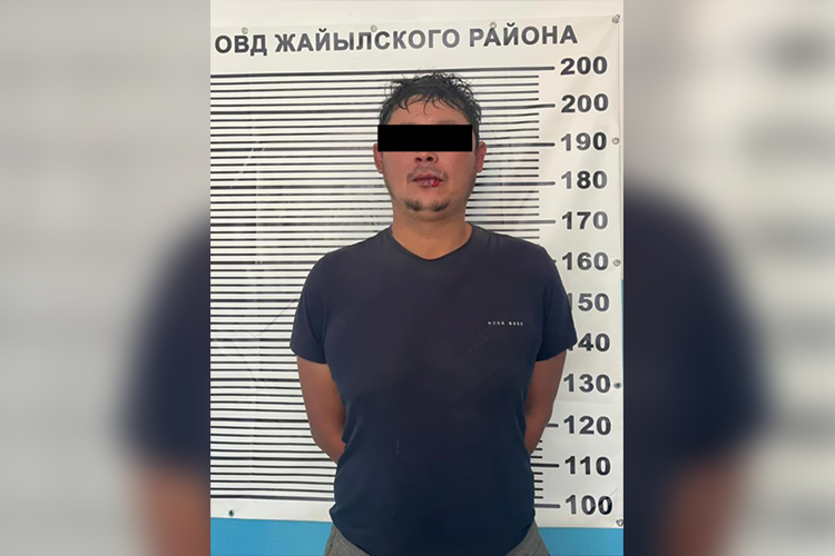 Подозреваемый