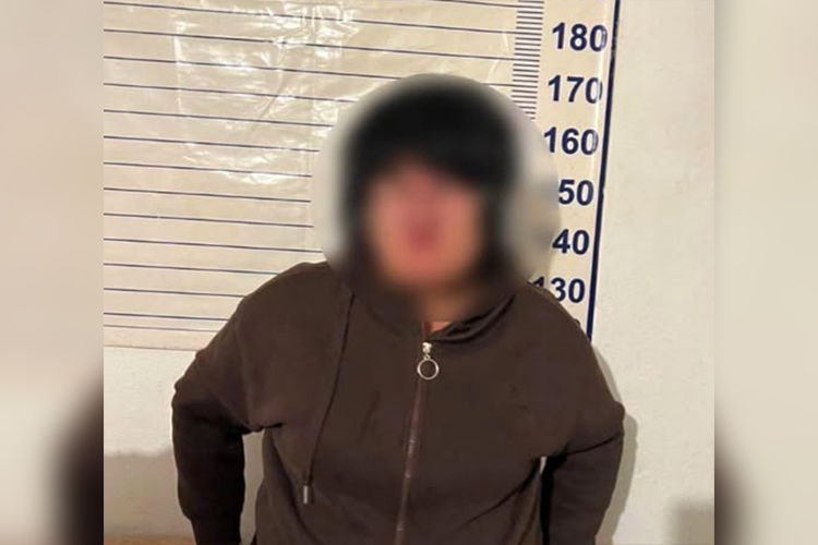 В Сокулукском районе задержана женщина. Продавала чужие земельные участки
