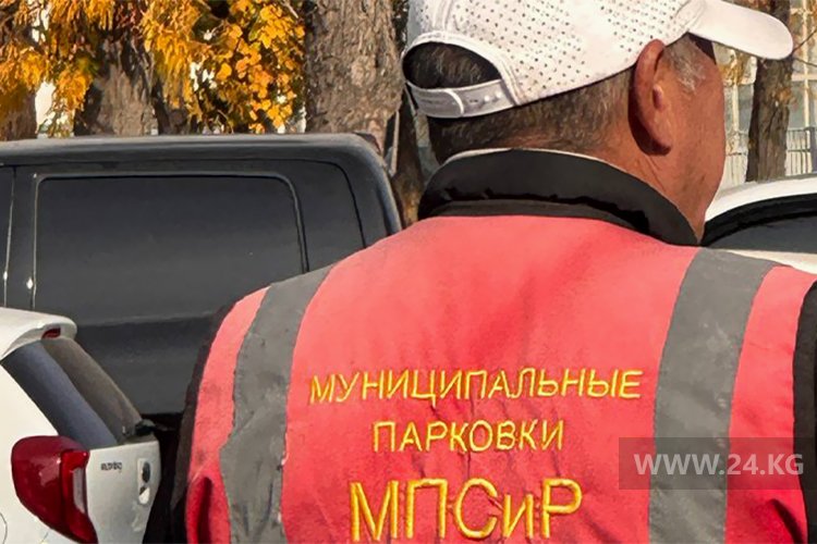 Жилетки, которые носят муниципальные парковщики