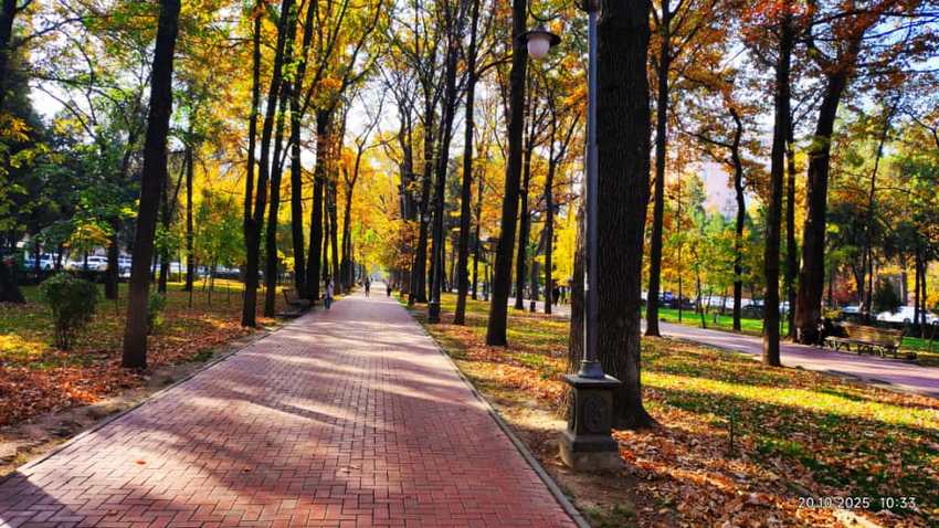 Бишкек, осень на бульваре Эркиндик