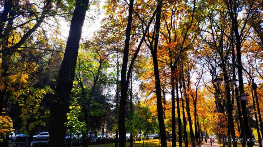 Бишкек, осень на бульваре Эркиндик