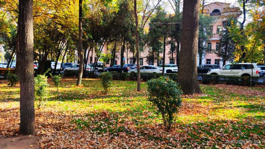 Бишкек, осень на бульваре Эркиндик