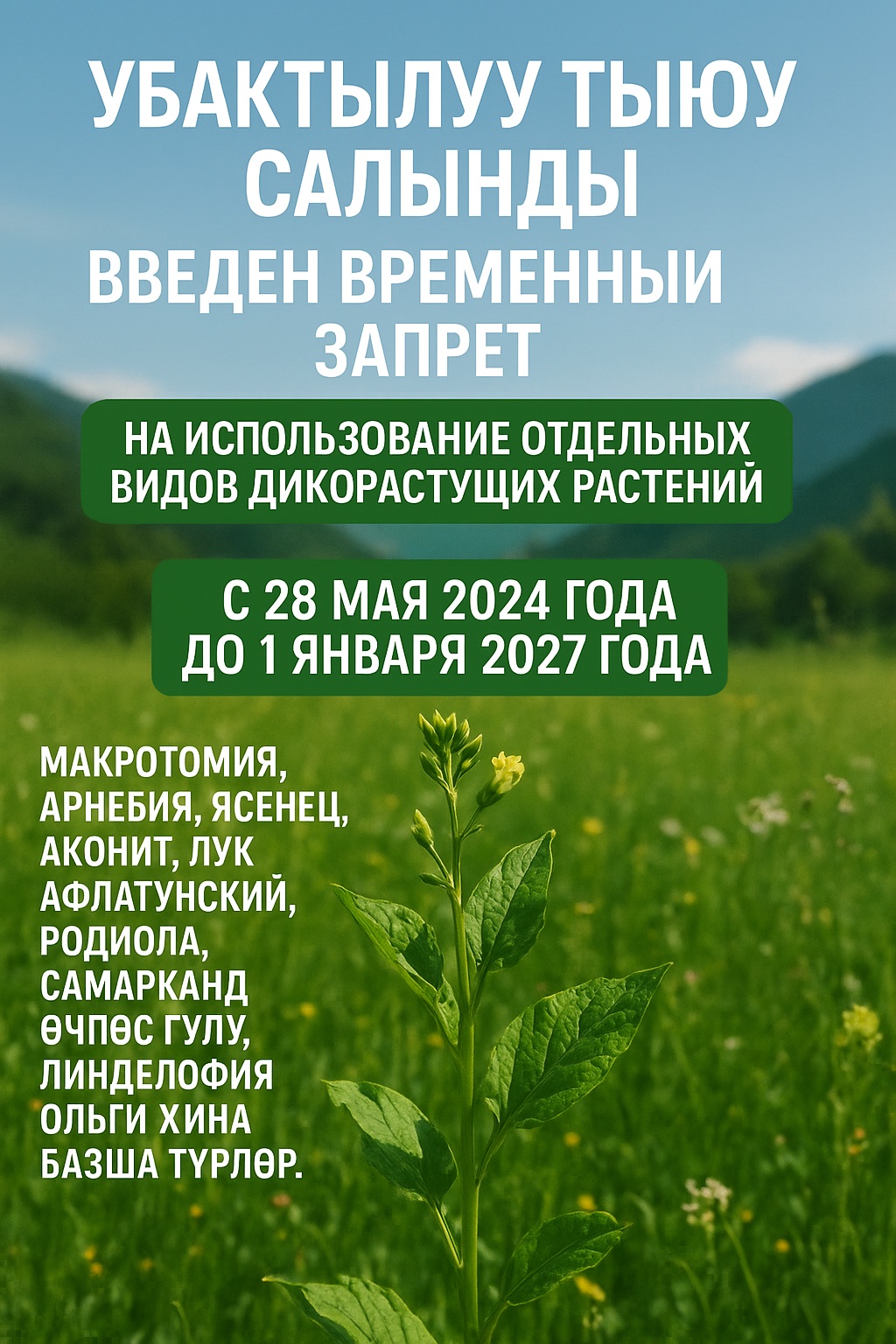 Запрет